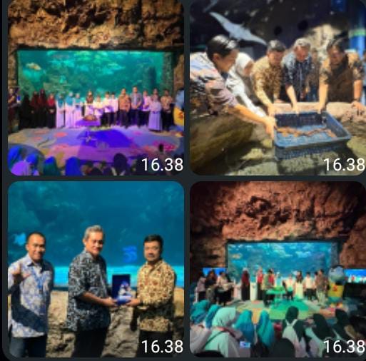 Sea World Ancol Rayakan Ulang Tahun ke-33: Hadirkan Biota Baru Ikan Hiu Berjalan