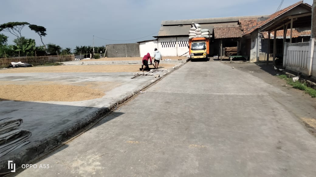 Jari Tangan Pekerja Lansia Putus Terlilit Mesin Blower Pengovenan Padi di Sukawangi